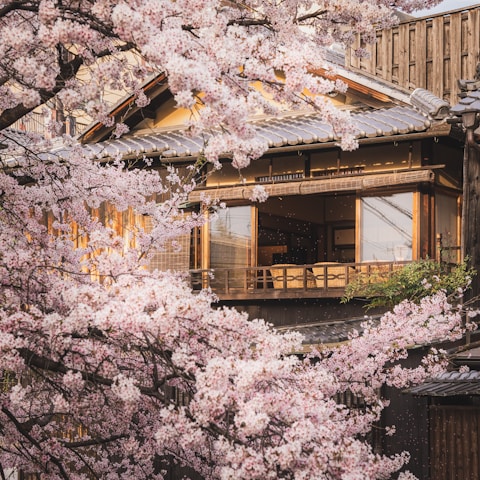 Jipijapa destination
